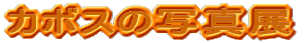 �J�{�X�̎ʐ^�W