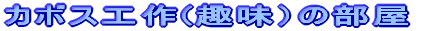 �J�{�X�H��̕���